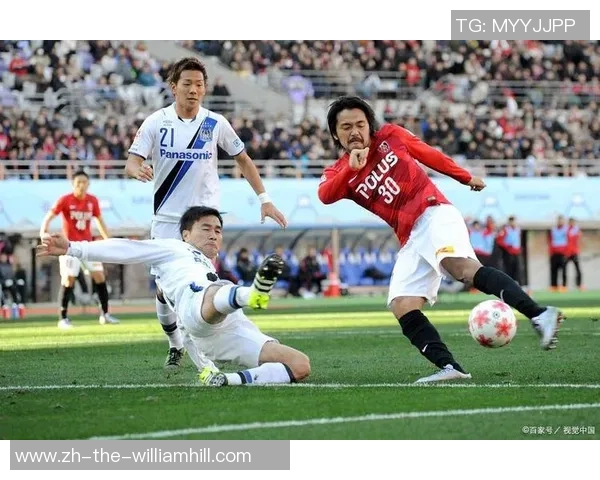 老红推荐大阪樱花与名古屋鲸的精彩对决分析与赛前预测